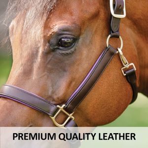 Harnais de cheval en cuir noir personnalisable, confortable avec ferrures en laiton, fait main -Cob-Full, fournitures équestres de haute qualité - Product Image 3