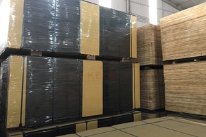 Contrachapado Impermeable con Película de 12mm, 15mm, 18mm, con Pegamento WBP, Tablero de Encofrado de Hormigón 4x8 para Construcción, Vietnam - Product Image 4