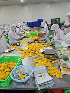 Fournisseur en gros de tranches de mangue séchée du Vietnam pour les chaînes de magasins de détail - Product Image 4