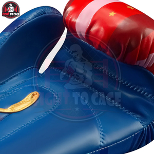 Guantes de Boxeo para Niños de 16 oz, Gruesos, Duraderos, con Logotipo Personalizado, Hechos a Mano, Nueva Llegada, Servicio OEM ODM, Precio al por Mayor - Product Image 5
