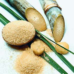 Sucre évaporé de haute qualité à prix d'usine, sucre de canne naturel de qualité alimentaire, approvisionnement en vrac pour les boissons et la boulangerie, prix bas - Product Image 6