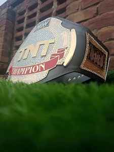 เข็มขัดแชมป์ปี 2025 รุ่นล่าสุด พร้อมงานโลหะ โลโก้สั่งทำได้ คุณภาพพรีเมียม เข็มขัดแชมป์มวย วัสดุดี ขายส่ง - Product Image 5