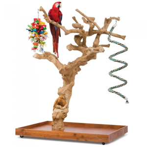 ที่เกาะสำหรับนกแก้วตกแต่งด้วยไม้กาแฟทำด้วยมือเฟอร์นิเจอร์สำหรับสัตว์เลี้ยงจากเวียดนาม - Product Image 1