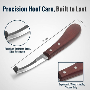 Cuchillo para huevos de botella con hoja de acero inoxidable y mango de madera, herramienta de precisión para la eliminación de huevos de mosca de botella, diseño ergonómico, seguro - Product Image 3