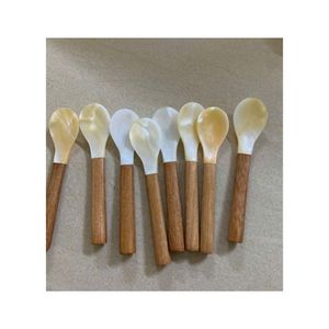 Colección de Cucharas de Concha Hechas a Mano en Vietnam con Acabado Espejo Plateado Duradero para Tiendas de Resorts, Tiendas de Regalos y Decoración del Hogar - Product Image 1