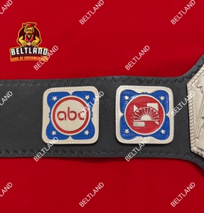 Ceinture de championnat de lutte NWA TV Heavyweight pour adultes, en alliage de zinc, doublure en cuir PU 2mm/4mm, personnalisable, confortable, haute qualité - Product Image 6