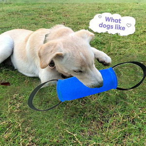 Almohada de Lona Ecológica para Perros, Juguete Interactivo para Morder, Entrenar y Jugar, Venta al Por Mayor OEM - Product Image 5