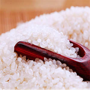 Arroz Calrose Orgánico al por Mayor, Seco, en Empaque Ecológico |   Bolsas a Granel de Calidad Superior con Control de Humedad para Mercados Globales - Product Image 1