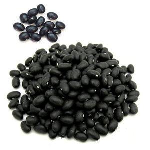 Haricots rouges noirs de qualité supérieure en gros à prix avantageux, haricots rouges foncés séchés en gros, haricots rouges longs - Product Image 1