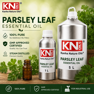 100%Pure Parsley Leaf <b>Essential</b> <b>Oil</b> Bulk Manufacturer Petroselinum Crispum Organic Certified Cosmetic Grade Global Exporter - Product Image 2