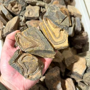 Bois pétrifié naturel d'Égypte, pierre de bois fossile brute pour l'aménagement paysager et la décoration - Fossile de bois ancien de qualité supérieure - Product Image 2