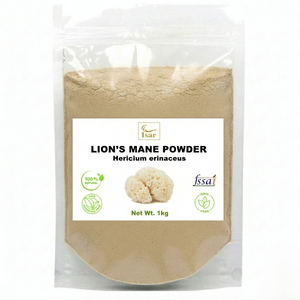 Polvo de Hongo Melena de León 100% Natural OEM, Polvo de Hongo Finamente Molido, Apoya la Función Cerebral, la Memoria y el Bienestar Cognitivo - Product Image 1