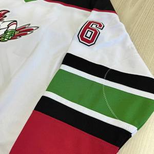 Maillots de hockey sur glace en polyester personnalisés OEM, sublimation numérique, broderie en twill, 260g, enfants et adultes, Eoin Winston Sports - Product Image 2