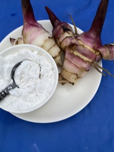 Poudre d'amidon d'arrowroot biologique de pureté supérieure, traitée proprement et de qualité stable pour l'industrie alimentaire - Product Image 1
