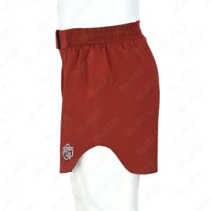 Blaze Fight Wear hommes nouveau haut de gamme à séchage rapide Short de sport confortable taille élastique mi-motif respirant tissu peigné solide Shorts de course - Product Image 5