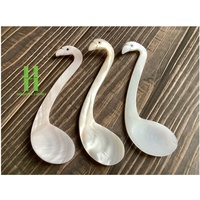 Cuillère en coquillage du désert écologique avec bougie sculptée à la main, cuillère en coquillage du Vietnam, grossiste