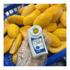 Mangues surgelées de qualité supérieure, coupées en demi-rondelles, parfaites pour les glaces, les gâteaux, les pâtisseries et les garnitures de fruits - Product Image 1