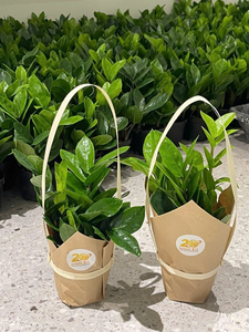 Porte-gobelets durable en forme de feuille de plante, porte-boissons durable pour restaurant, café et boissons à emporter - Product Image 4