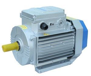 Motor Eléctrico Monofásico de 12 Meses a Prueba de Goteo/IP55, 220V 50/60Hz, Núcleo de Cobre, Carcasa de Hierro Fundido OEM y Núcleo de Cobre - Product Image 4