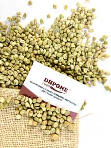 Granos de Café Verde Arábica S16, Grado Puro Natural, Sin Alérgenos, a Granel para Tostar, Calidad Estable, Exportación al por Mayor, Café DHPONE - Product Image 4