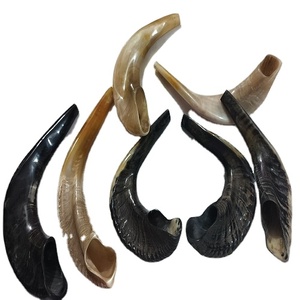 Meilleure qualité corne de bélier Shofar corne naturelle Shofar pour souffler et religieux but casher Shofar de A Z artisanat - Product Image 5
