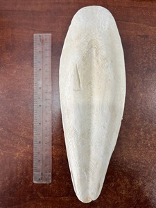 Os de seiche de qualité alimentaire-Fournisseur vietnamien compétitif, 2025 offres - Product Image 3