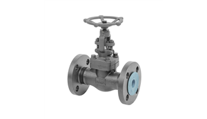 Válvula de Globo de Acero al Carbono Forjado A105, 1 Pulgada, Extremo Roscado, Clase 150, para Agua a Alta Temperatura, Control de Flujo Manual, OEM Industrial - Product Image 5