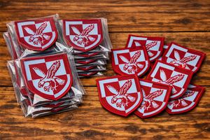 Patch tactique brodé style assaut aérien 16e TRF désert, avec fixation auto-agrippante - Product Image 3
