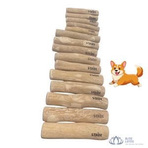 BEST-SELLER - Bâtonnets à mâcher pour chien au lotus bleu et à la noix de coco - Jouet durable et écologique pour animaux de compagnie - Soin dentaire et dentition - Vente en gros Vietnam - Product Image 1