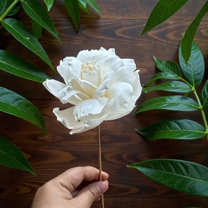 ดอกไม้โซล่าวู้ด VADEE SOLA WOOD FLOWER ทำมือ ดอกกุหลาบสีงาช้างที่ยั่งยืนได้ ขนาด 8.5 ซม. ทำจากเส้นใยพืชเซสบานียา จากประเทศไทย - Product Image 5