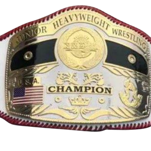 NOUVELLE Ceinture de championnat de lutte poids lourd junior USA, trophée personnalisé de haute qualité pour collectionneurs - Product Image 2