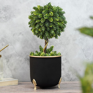 Jardinière en métal noir avec pieds décoratifs à motif de feuilles, élégante et moderne, pour plantes d'intérieur et d'extérieur, salon, bureau - Product Image 5