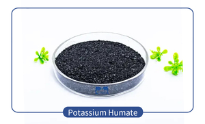 Polvere di Estratto di Alghe Nere <span class=keywords><strong>Naturali</strong></span> ad Alto Contenuto di Estratto Marino, Fertilizzante Vegetale <span class=keywords><strong>per</strong></span> la Promozione della Crescita di Frutta e Verdura - Product Image 4