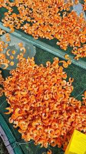 Camarones Secos Premium de Vietnam, Mariscos Naturales para Cocina Asiática, Saborizantes para Sopas, Aderezos para Fideos, Salsas y Venta al por Mayor - Product Image 3