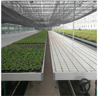 Système de culture hydroponique à bancs roulants, système d'irrigation par flux et reflux, table de culture pour serre commerciale, bac de drainage pour la culture des plantes