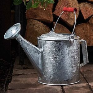 Arrosoir décoratif élégant en métal pour plantes d'intérieur, pot à eau élégant avec poignée - Product Image 6