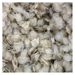 Escamas de Pescado Secas de Calidad de Exportación para Aplicaciones de Fabricación Sostenible y Utilización de Recursos Marinos - Product Image 1