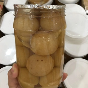 Limone Salato Vietnamita Premium – Sapore Naturale di Agrumi, Bevanda Rinfrescante, Fornitura all'Ingrosso, OEM e Confezioni Personalizzate - Product Image 1