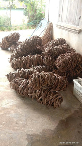 Enredaderas de Liana Naturales Trenzadas para Decoración de Cafeterías, Cuerda de Madera Rústica para Envolver Columnas, Suministro Sostenible para Interiores de Restaurantes - Product Image 2