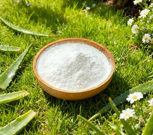 Reliable wholesale aloe vera powder concentrate 100X with premium quality for cosmetic factories and raw material distributors - Product Image 5