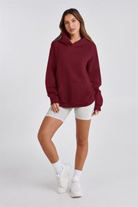 Hoodie Heavyweight Fleece Quiet Luxury Streetwear OEM Manufacturer Women's Luxury Blank Hoodie Thick Cotton Premium Hoodie - Product Image 5