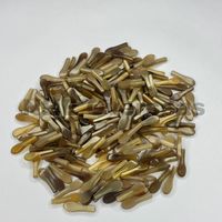 Pointes de corne de buffle naturelles, durables et faites à la main, de couleur blanc clair, pour montures de lunettes, design moderne, NHE Overseas