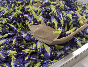 โรงงานขายส่งดอกอัญชันเวียดนาม วัตถุดิบดอกไม้ธรรมชาติสำหรับชงชา สีและบรรจุภัณฑ์ตามสั่ง - Product Image 5