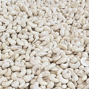 Fabricación de Nueces de Anacardo Crudas W240, Exportación al por Mayor a la UE, Medio Oriente y Asia desde Vietnam - Product Image 1