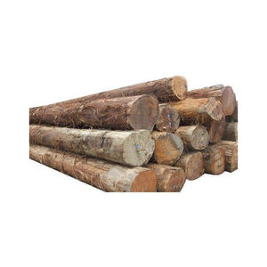 Bûches de hêtre, bois brut pour la transformation industrielle et la fabrication - Product Image 2