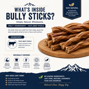 Barritas de Carne de Res Naturales para Perros, Golosinas Dentales de Larga Duración para Todas las Razas, Fabricante OEM ODM, Venta al Por Mayor - Product Image 5