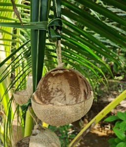 Casa para Pájaros de Coco Natural / Nido para Pájaros Hecho con Conchas de Coco, Fabricado en Green Future Vietnam - Product Image 6