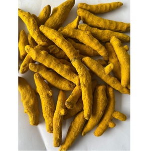 Doigts de curcuma séchés AD, épice naturelle, usage culinaire, soutien à la santé, Haryana Inde, export en vrac, prix de gros - Product Image 1