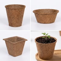 Pot de culture Coco 2 pouces - Pot de fleurs minimaliste en fibre de coco écologique, léger et à forte rétention d'eau
