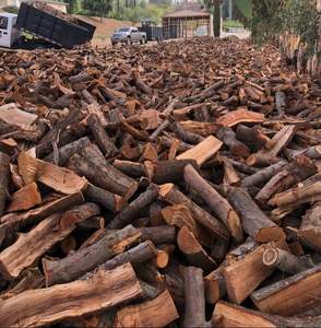 Leña de Abedul Seca al Horno de Primera Calidad, Troncos de 25 cm, Leña de Roble y Haya Seca al Horno, Leña de Madera Dura de Mangrovia en Venta - Product Image 1